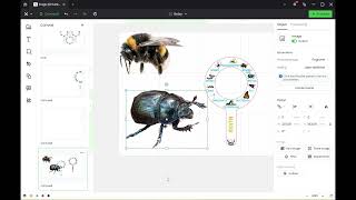 Importing and editing PNG files in XTools Creative Space [upl. by Milena]