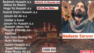 Nadeem Sarwar all nohay  Nadeem Sarwar all noha cassete nadeemsarwar karbala nohastatus viral [upl. by Wandie]