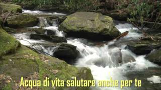 CRISTO è LA ROCCIA DI HOREB SPAGNOLO  ITALIANO CORALE DI PALMI [upl. by Ainedrag]