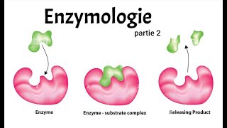 ENZYMOLOGIE PART 2  CINETIQUE  REGULATEURS  ALLOSTERIE [upl. by Erv765]