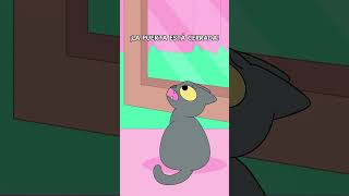 ¿Tu gato también quiere entrar y salir todo el tiempo🚪😹 gatos gato gatitos michi michis humor [upl. by Hunsinger]