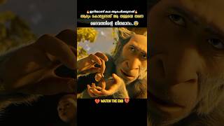 അവൻ നേരെ വായിലേക്ക് വീണു😰 DBZscenezz shorts ytshorts [upl. by Milton599]