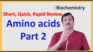 Amino Acids Part 2  Short and Rapid Review [upl. by Leupold181]