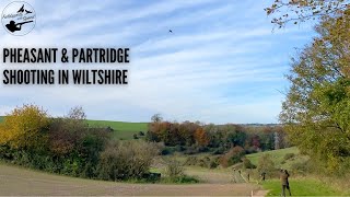 Pheasant amp Partridge Shooting  What a Day  Manor Farm Shoot in Wiltshire UK [upl. by Kiki577]