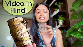 Hindi  Brazilian Wood Plant की care कैसे करें Brazilian Lucky wood की जानकारी हिंदी में [upl. by Gardy]