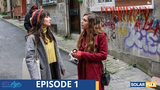 Forbidden Fruit Episode 1  FULL EPISODE  TAGALOG DUB  Turkish Drama [upl. by Taddeusz]