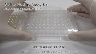 Biofilm Viability Assay Kit 同仁化学研究所 [upl. by Anatniuq]