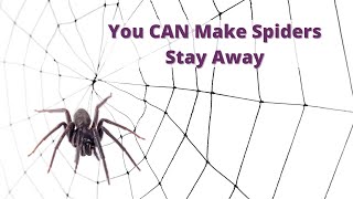 Get Rid of Spiders the Easy Way [upl. by Salchunas160]