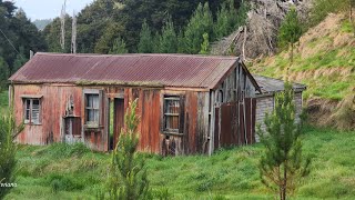 TamaranuiRailWay Hut campThe Forgotten world highway [upl. by Mcgill]