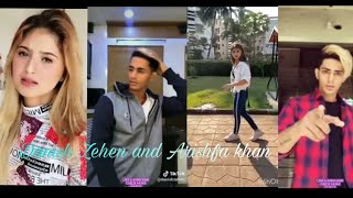 Danish Zehen and Arishfa khan tik tok video Attitude Romentic and Love video  Miss you bro [upl. by Htessil]