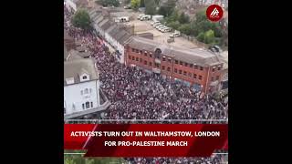 Activists turn out in Walthamstow London for proPalestine march [upl. by Ubana]