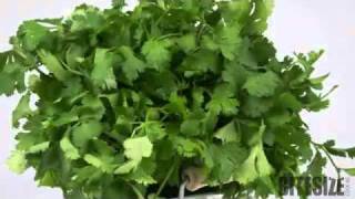 Coriander Cooking Tips and Uses [upl. by Ahsienal]