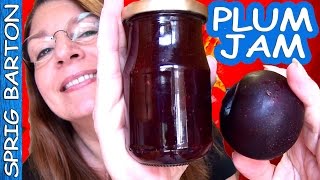 HOW TO MAKE PLUM JAM  PLUM PRESERVES BEST RECIPE Sprig Barton Tutorial [upl. by Faustena]