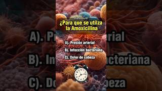 Para que sirve la Amoxicilina quiz sabiasque salud medicina farmacia medicamentos [upl. by Allecnirp]