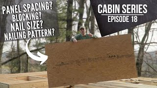 Wall Sheathing Done Right for the DIY Cabin  EP 18 [upl. by Avaria]