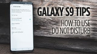 Samsung Galaxy S9 Tips  How to Use Do Not Disturb [upl. by Risa776]