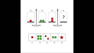 Practice Book for the WISCV Test [upl. by Aiekat]