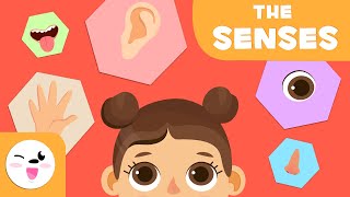 The Five Senses for Kids  Preschool Education [upl. by Tenrag80]