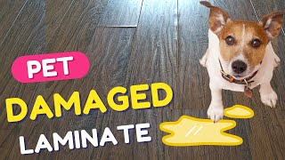 Damaged Laminate Flooring Repair  DIY  How to Fix Water Damaged Laminate Flooring  Pet Pee [upl. by Baseler]