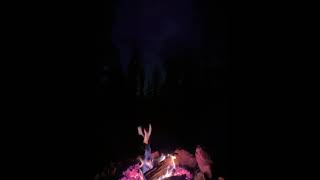 Video of Dispersed Camping  Pike National Forest Divide CO from Linnell W [upl. by Valentin]