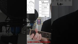 4 semplici accordi per suonare quotIl mio corpo che cambiaquot dei Litfiba Facile no shorts tutorial [upl. by Sokcin]