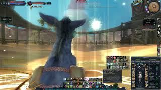 Aion Classic Assassin vs Executor Azkel [upl. by Regnij]