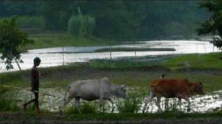 O Amar Bangla Ma Tor  Fahmida Nabi [upl. by Ahon]