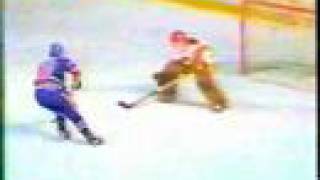 Hockey Night In Canada Song [upl. by Eninej]