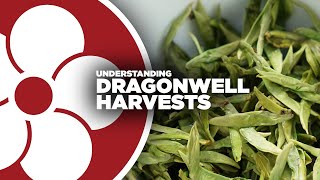 Dragonwell Harvests [upl. by Napoleon]