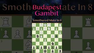 Budapest Gambit Smothered Mate in 8 shorts [upl. by Sahcnip]