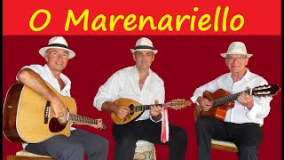 O Marenariello  Mandoline et Guitares  Réalisé au bar de Monti [upl. by Welcher]