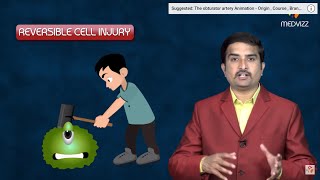 Reversible cell injury  General Pathology Animated USMLE Lecture  Dr Bhanu prakash [upl. by Tisbe102]