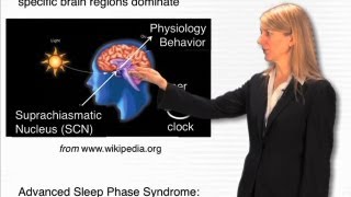 The circadian clock  Cori Bargmann RockefellerHHMI [upl. by Davie]