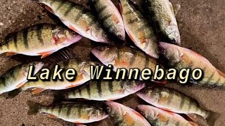 Fall Perch Fishing Lake Winnebago 111123 [upl. by Anivek]