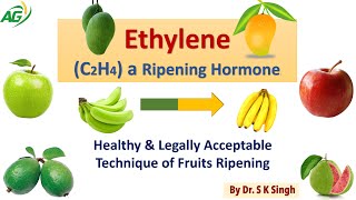 EthyleneC2H4 a Ripening Hormone Healthy amp Legally Acceptable Technique of Fruits Ripening [upl. by Martha]