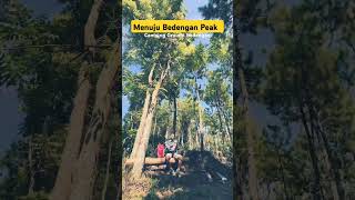 Menuju Bedengan Peak  Camping Ground Bendengan camping nature hiking rojocamp solocamping [upl. by Weinberg]