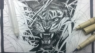 Pen amp Ink Drawing Tutorials  How to draw a tiger [upl. by Noella702]