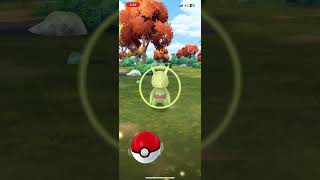 Kecleon Encounter 🦎🙈 kecleon encounter pokemongo pokemon rarepokemon pokestop hiding walk [upl. by Berkeley417]