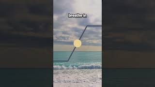 Breathing for Stress 4 Square Breathing Exercise breathingforanxiety breathe breathingexercise [upl. by Aniles]