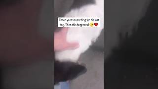 The loyalest dog in the world 🌎👑🥺 loyal hbbrand humanity dog fyp viralvideo [upl. by Abihsot]