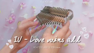 IU  Love wins all Kalimba cover  아이유 칼림바 연주 [upl. by Anilam904]