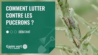 TUTO Comment lutter contre les pucerons – Jardinerie Gamm vert [upl. by Nairrod]