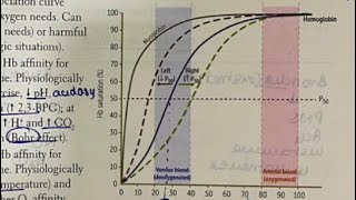 Oxygen dissociation curve made EASY Hindi  neetpg inicet firstaidusmle physiology [upl. by Annhej]