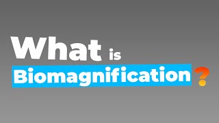 what is biomagnification or biological magnification  define biomagnification  trending saurabh [upl. by Gio]