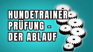 Hundetrainer Prüfung §11 TierSchG  Wie ist der Ablauf [upl. by Atoel]