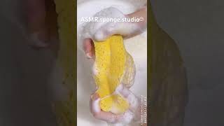 【ASMR】スポンジから泡が溢れ出す瞬間🫧✨ porous sponge squeeze✨🫧 spongesqueezing spongeasmr spongesqueeze suds [upl. by Connett]