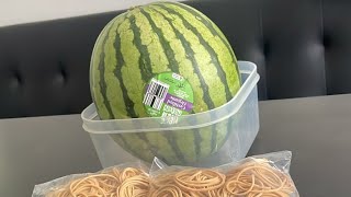 1 sub  1 rubber band on watermelon 🍉 [upl. by Cade]