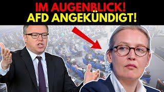 UNGLAUBLICH ALICE WEIDEL KÜNDIGT ETWAS AN [upl. by Marta]