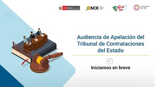 Audiencia de Apelación del Tribunal de Contrataciones del Estado S1EXP107382024TCE [upl. by Eaton]