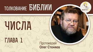 Числа Глава 1 Протоиерей Олег Стеняев Толкование Ветхого Завета Книга Чисел Толкование Библии [upl. by Alyosha353]